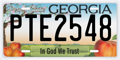 GA license plate PTE2548