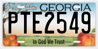 GA license plate PTE2549