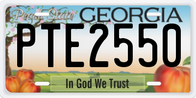 GA license plate PTE2550