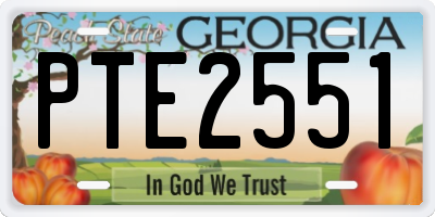 GA license plate PTE2551
