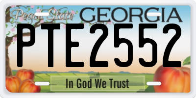GA license plate PTE2552