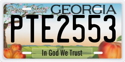 GA license plate PTE2553