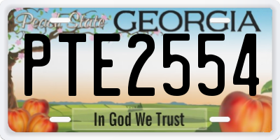 GA license plate PTE2554