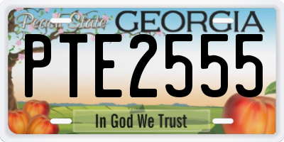 GA license plate PTE2555