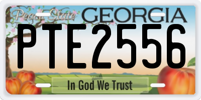 GA license plate PTE2556