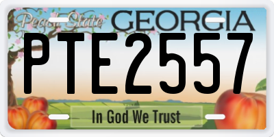 GA license plate PTE2557