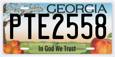 GA license plate PTE2558