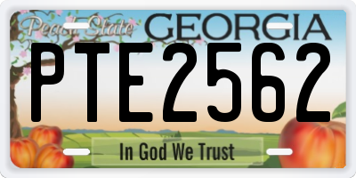 GA license plate PTE2562