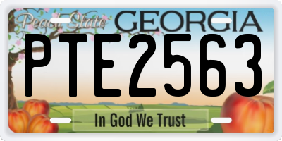 GA license plate PTE2563