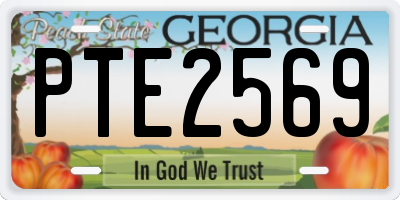 GA license plate PTE2569