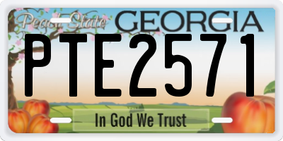 GA license plate PTE2571