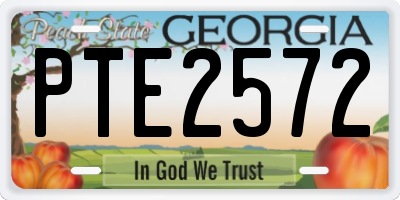 GA license plate PTE2572