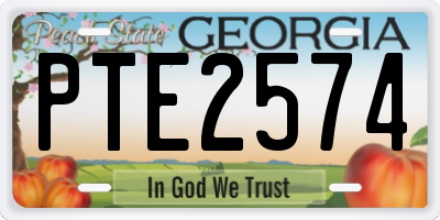 GA license plate PTE2574