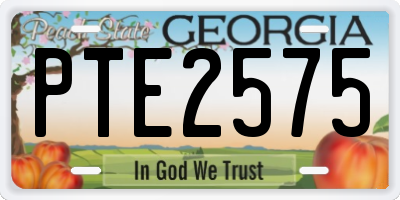GA license plate PTE2575