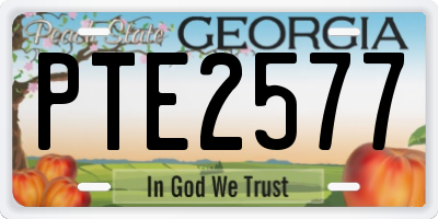 GA license plate PTE2577