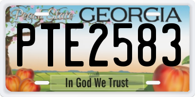 GA license plate PTE2583