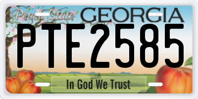 GA license plate PTE2585
