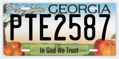 GA license plate PTE2587