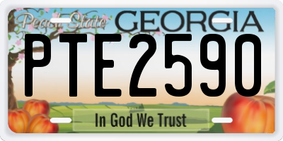 GA license plate PTE2590