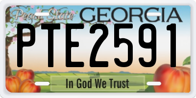 GA license plate PTE2591