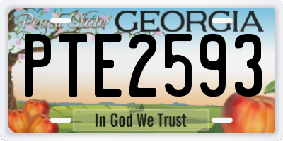 GA license plate PTE2593