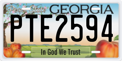 GA license plate PTE2594