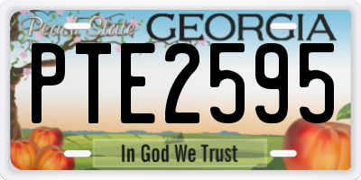 GA license plate PTE2595