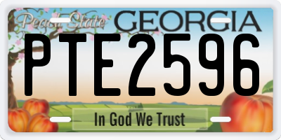GA license plate PTE2596