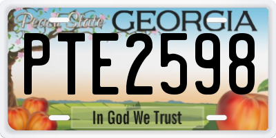 GA license plate PTE2598
