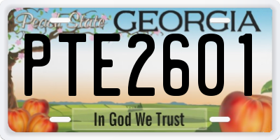GA license plate PTE2601