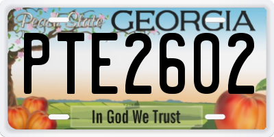 GA license plate PTE2602
