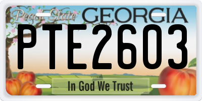 GA license plate PTE2603