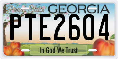 GA license plate PTE2604