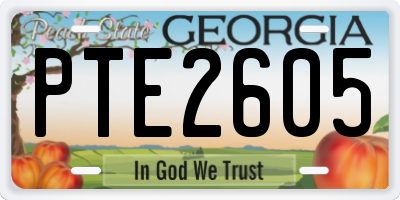 GA license plate PTE2605