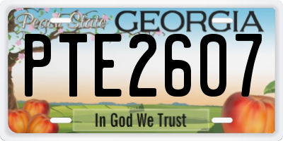 GA license plate PTE2607