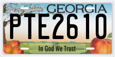 GA license plate PTE2610
