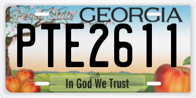GA license plate PTE2611