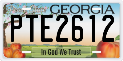 GA license plate PTE2612