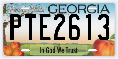 GA license plate PTE2613