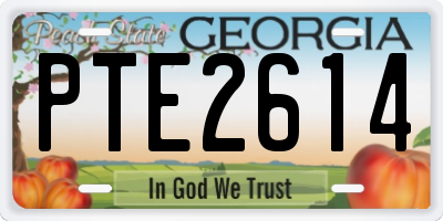 GA license plate PTE2614