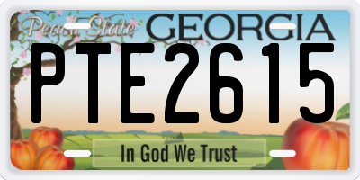 GA license plate PTE2615