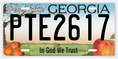 GA license plate PTE2617