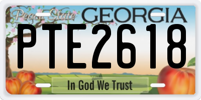 GA license plate PTE2618