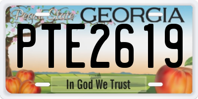 GA license plate PTE2619