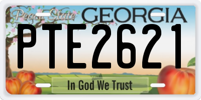 GA license plate PTE2621