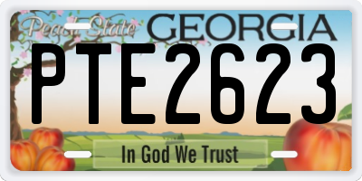 GA license plate PTE2623