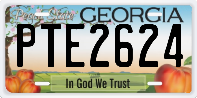 GA license plate PTE2624