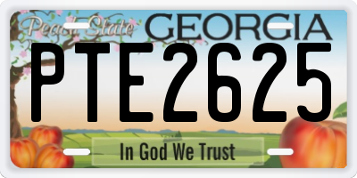 GA license plate PTE2625