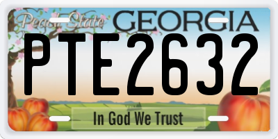 GA license plate PTE2632