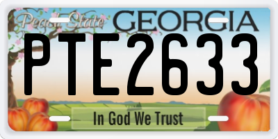 GA license plate PTE2633